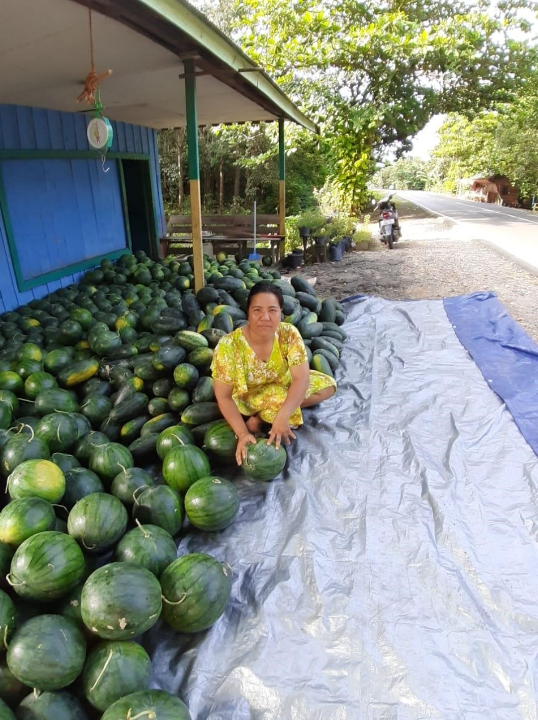 A woman watermelon vendor is posing with her hundreds of harvest